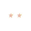 wholesale S925 Sterling Silver Small Petal Colored Zircon Earrings For Women, Elegant Cross-border Floral Design-0-4