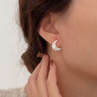 wholesale S925 Sterling Silver Textured Moon Ear Studs for Women, Korean High-Fashion 2025, Versatile and Niche Earrings-Sterling silver