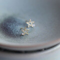 wholesale 9K Solid Gold Five-Prong Star Zircon Minimalist Korean Mini Stud Earrings-0-3
