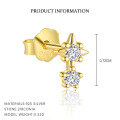 wholesale S925 Sterling Silver Cross-border Women's Earrings, Simple Zircon Octagram Star Earrings, Fashionable And Versatile Wholesale-0-4