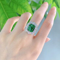 wholesale S925 Sterling Silver Transnational Elegant Luxury Simulated Emerald Cut 9*11 High Carbon Diamond Ring-R237 Green No. 8