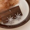 wholesale S925 Sterling Silver Minimalist Snowflake Stud Earrings for Women, Korean High-End Fashionable New Design Earrings-0-1