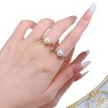 wholesale S925 Sterling Silver Vintage-inspired Luxury Style Zodiac Bead Ring, Exquisite and Fashionable Versatile Ring-0-4
