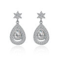 wholesale S925 Sterling Silver Cross-Border Hot-Sell Star Teardrop Drop Earrings High-End-0-4