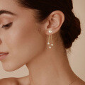 Metal Star Tassel Earrings, Wholesale, Light Luxury, Advanced, Niche Design, Fashion Versatile-0-1