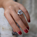 S925 Sterling Silver Fashion Cubic Zirconia Ring, Clearance Sale with Free Shipping-0-0
