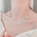 wholesale S925 Sterling Silver Minimalist Flat Snake Chain Necklace Hip Hop Trendy Niche Design Versatile Necklace-0-1