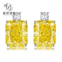 wholesale S925 Silver Luxury Set Simulated Yellow Diamond Earrings for Women, High Carbon Diamond Burst Flash Fashion Elegant-E314 Yellow Diamond 925 Silver