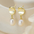 wholesale 925 Sterling Silver, Hot-Selling Earrings, Light Luxury, High-End Summer Minimalist Style, Simple Freshwater Pearl Ear Drops-0-0