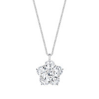 Metal Flash Moissanite Four-Leaf Clover Necklace, Women's Luxury Fashion Pendant-S925 sterling silver + 2-carat moissanite