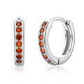 Sterling Silver Earrings【Clearance Free Shipping】ins-0-18