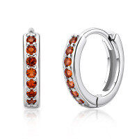 Sterling Silver Earrings【Clearance Free Shipping】ins-Style S [Clearance Sale - Free Shipping] Zircon  925 Silver