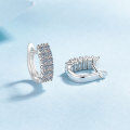 wholesale S925 Sterling Silver High-End Fashionable and Elegant Moissanite Earrings, Fully Diamond-Cut Versatile Earrings for Women, Ready Stock for Wholesale-0-1
