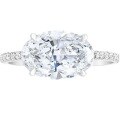 wholesale S925 Silver Plated Simulated Diamond 8*10mm Radiant Cut 3 Carat Ring-0-4