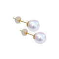 wholesale 18K Gold Set with Natural Seawater Pearl Earrings for Women, Elegant and Simple, Versatile for Commuting, Imported Japanese Akoya-0-4