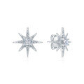 wholesale 925 Sterling Silver Octagram Zircon Ear Studs Fashion Light Luxury Sweet Niche Design High-End INS Style Earrings-0-4