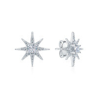 wholesale 925 Sterling Silver Octagram Zircon Ear Studs Fashion Light Luxury Sweet Niche Design High-End INS Style Earrings-Silver 925 silver