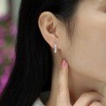 wholesale S925 Silver Dawn Hoop Earrings with Moissanite, New Style Amazon Cross-Border Best-Seller Ready-to-Ship Wholesale from Source-0-3