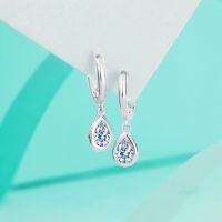 wholesale S925 Sterling Silver Waterdrop Moissanite Earrings for Women, Simple Maple Fashion Korean Style Summer Stud Ear Clips-50-point (Moissanite) earrings>925 silver