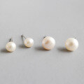 wholesale S925 Sterling Silver HED464 Korean Minimalist Small Freshwater Pearl Earrings for Women, Versatile and Niche-0-0