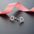 wholesale S925 silver zirconia star-shaped earrings, octagonal star style, Korean and Japanese version, popular women's jewelry, diamond-encrusted earrings-0-1