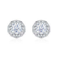 wholesale 925 Sterling Silver, High-end Style Silver Jewelry, Zircon Stud Earrings, Wholesale-Platinum 925 silver