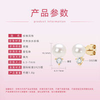 Metal Classic Princess Pearl Zircon Earrings, Cross-Border Best-Seller-Style F [Clearance Sale with Free Shipping]  925 Silver