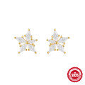 wholesale S925 Sterling Silver Amorphous Star Opal Diamond Inlaid Earrings for Women, Heart-shaped, Light Luxury, Niche Amazon New Arrival-0-8