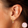 wholesale S925 Sterling Silver Classic Hoop Earrings with Colored Diamonds, a bestselling-0-1