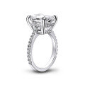 S925 Sterling Silver Trendy Ins Fashion Ring, Clearance Sale with Free Shipping-0-3