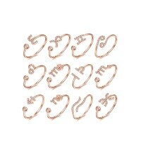 wholesale Rose gold, S925 sterling silver with moissanite fashion personality zodiac constellation rings for couples-Leo Ring Adjustable opening