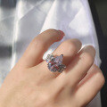 S925 Sterling Silver Princess Light Luxury Fashion Accessory, Trending on Ins and Xiaohongshu-0-2