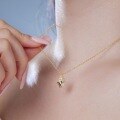 wholesale S925 Sterling Silver INS Style Viral Pendant Necklace for Women, High-End Conch Shell Design, Niche Luxury Collarbone Chain-0-2