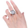 wholesale S925 silver new jewelry, luxury-set 10*14 Asscher-cut high-carbon diamond ring,-0-4