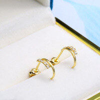 wholesale 925 Silver Metal Korean and Japanese Small Accessories Earrings, Small Niche Paved Zirconia Stud Earrings, New Stylish Internet-Famous Elegant Earrings, Drop Shipping-Korean style elegant zirconium earrings 925 silver