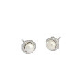 wholesale S925 sterling silver Korean version ins small irregular freshwater pearl earrings for women-0-5
