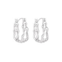 wholesale S925 sterling silver women's earrings with a new, niche, fashionable, and unique U-shaped design featuring irregular cutouts for an elegant and sophisticated look-HEH3060>925 silver