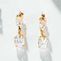S925 Silver Champagne Gold-Plated Double High-Carbon Diamond Stud Earrings Wholesale-0-2