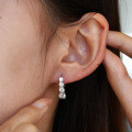 925 Sterling Silver D Color Moissanite Straight Row Unisex Earrings Hip Hop American Style Cross-Border Supply-0-1