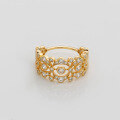 wholesale 925 Silver Gold Plated Dunli Jewelry Spring New Collection European and American Lace Hollow-Out Fashion High-End Zircon Ring for Women-0-2