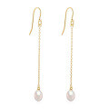 wholesale S925 Sterling Silver Tassel Chain Pearl Earring, A Classic European And American Style Women's Earring-0-5