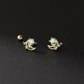 wholesale 925 Sterling Silver Fresh and Sweet Ins-Style Niche Design Diamond-Inlaid Moon Thread Earrings M06633-0-2