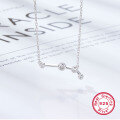 wholesale S925 Sterling Silver Amazon Best-Selling Women's Versatile Niche Chain Twelve Zodiac Signs Zircon Pendant European and American Jewelry-0-13