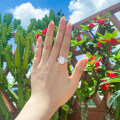 S925 Sterling Silver Geometric Rectangle Zircon Ring, Final Sale with Free Shipping-0-0