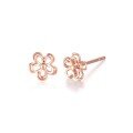 wholesale 18K Gold Small Daisy Ear Studs Rose Gold High-End Sensibility Colored Gold Earrings Niche 14K Yellow Gold Women's Earrings Gift-0-4