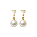 wholesale S925 Sterling Silver Minimalist Fan-Shaped Shell Pendant Pearl Earrings Vintage Elegant Elegance Earrings M01308-0-4