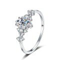 S925 Sterling Silver Moissanite Ring with Multi-Layer Halo and Fire Brilliance-0-3