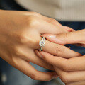 S925 Sterling Silver Hip-Hop Double Row Moissanite Ring for Women Wholesale-0-2