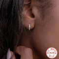 wholesale S925 Sterling Silver Single Row Large and Small Inlaid Diamond Hoop Earrings, Ins Style, Popular Among European and American Trendsetters, Hot Selling on AliExpress-0-1