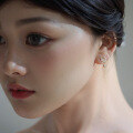 wholesale 9K Gold Zirconia Secret Garden Shiny Stud Earrings Versatile Women's Simple Korean Style Elegant Earrings-0-2